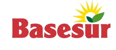 Basesur